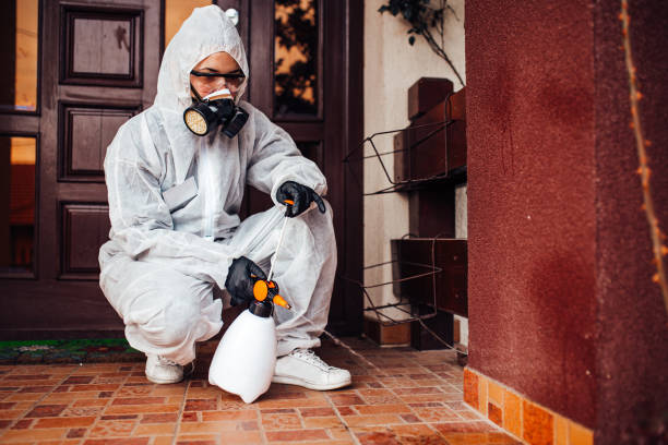 Reliable Ant Control contractor in Cedar Hills, UT by Nex Pest Control